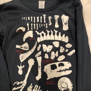 Crewcuts glow in the dark dinosaur paleontologist